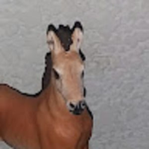 Meet your Posher, April